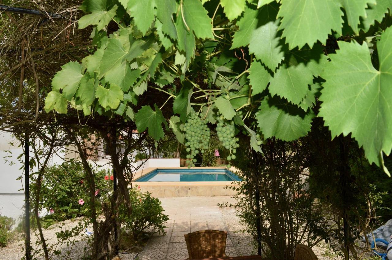 Casa Jiby Apartment Llosa de Camacho Ngoại thất bức ảnh
